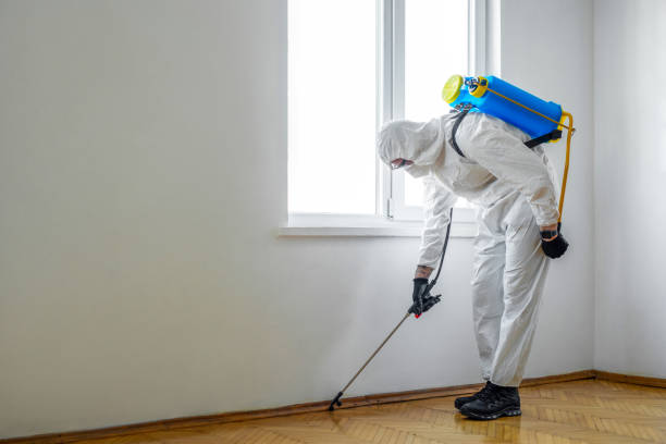 Best Flea Control Services  in Cold Spring, NY