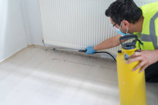 Reliable Cold Spring, NY Pest Control Solutions